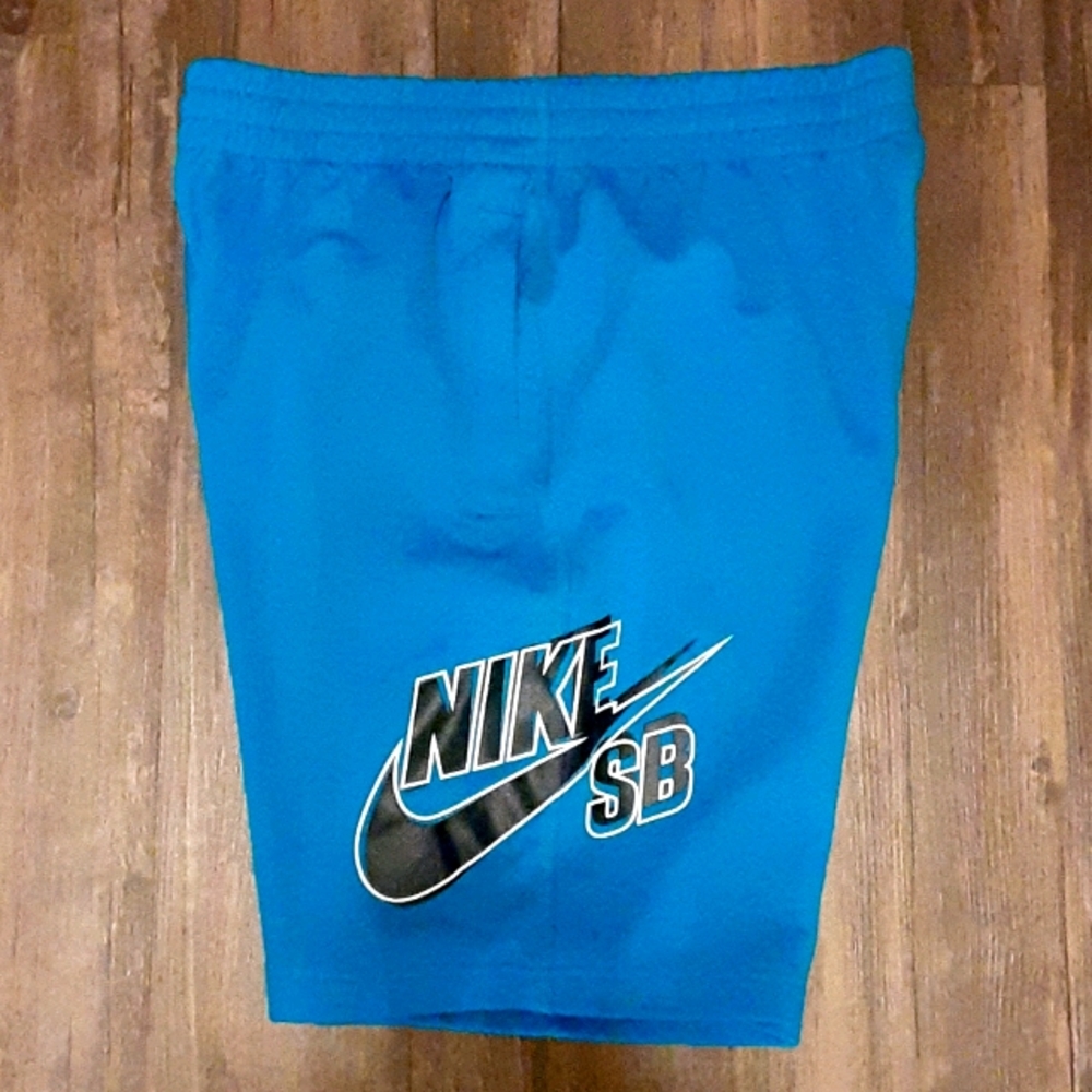 Nike SB Shorts